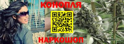 jwh Лесосибирск