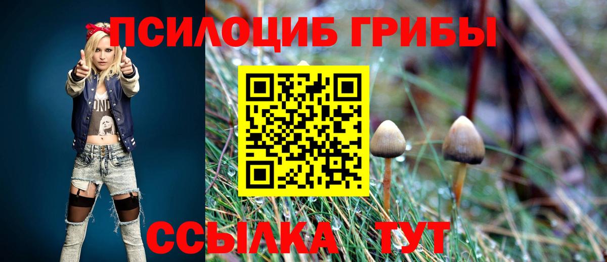 Псилоцибиновые грибы прущие грибы Заводоуковск