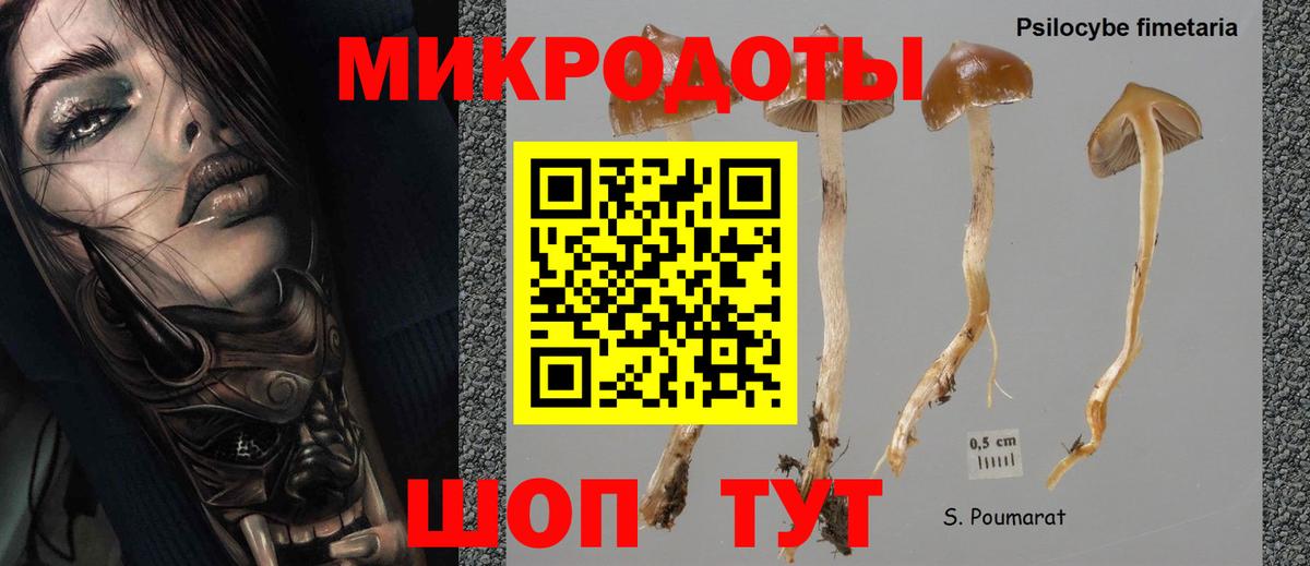 Заводоуковск  Псилоцибиновые грибы Cubensis  Вход с VPN 